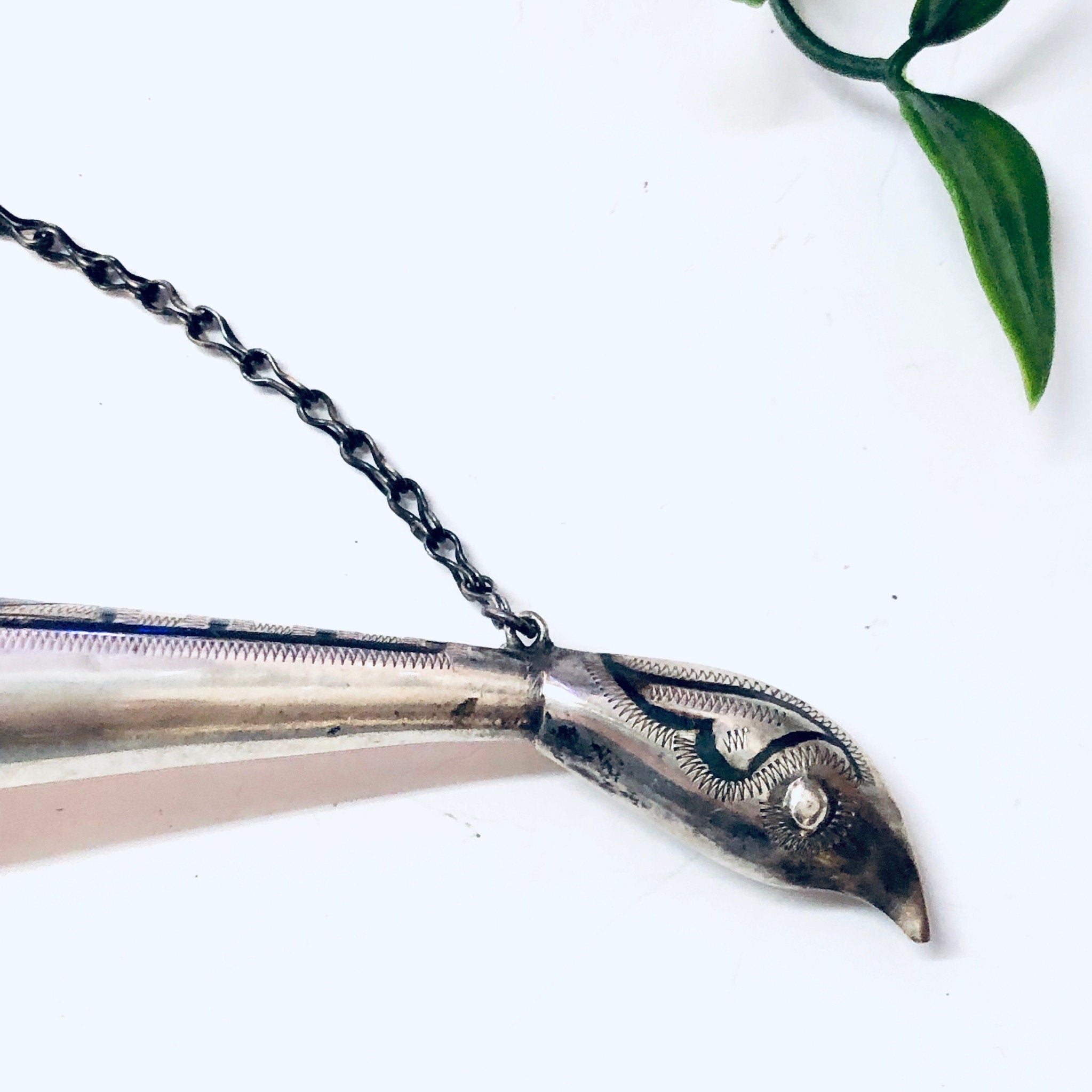 Vintage Horn, Horn Decor, Vintage Home Decor, Wall Decor, Horn Cup, Collectible, Silver Accent, Engraved Silver, Wall Hanging, Small Horn