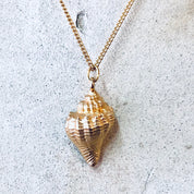 Vintage Necklace, Gold Toned Necklace, Conch Shell, Shell Necklace, Shell Pendant, Beach Lover, Vintage Jewelry, Thin Chain, Shell Pendant