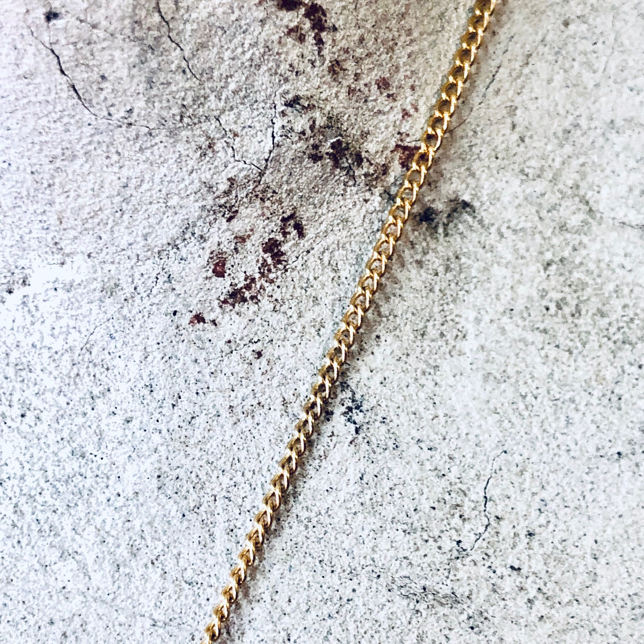 Vintage Necklace, Gold Toned Necklace, Conch Shell, Shell Necklace, Shell Pendant, Beach Lover, Vintage Jewelry, Thin Chain, Shell Pendant