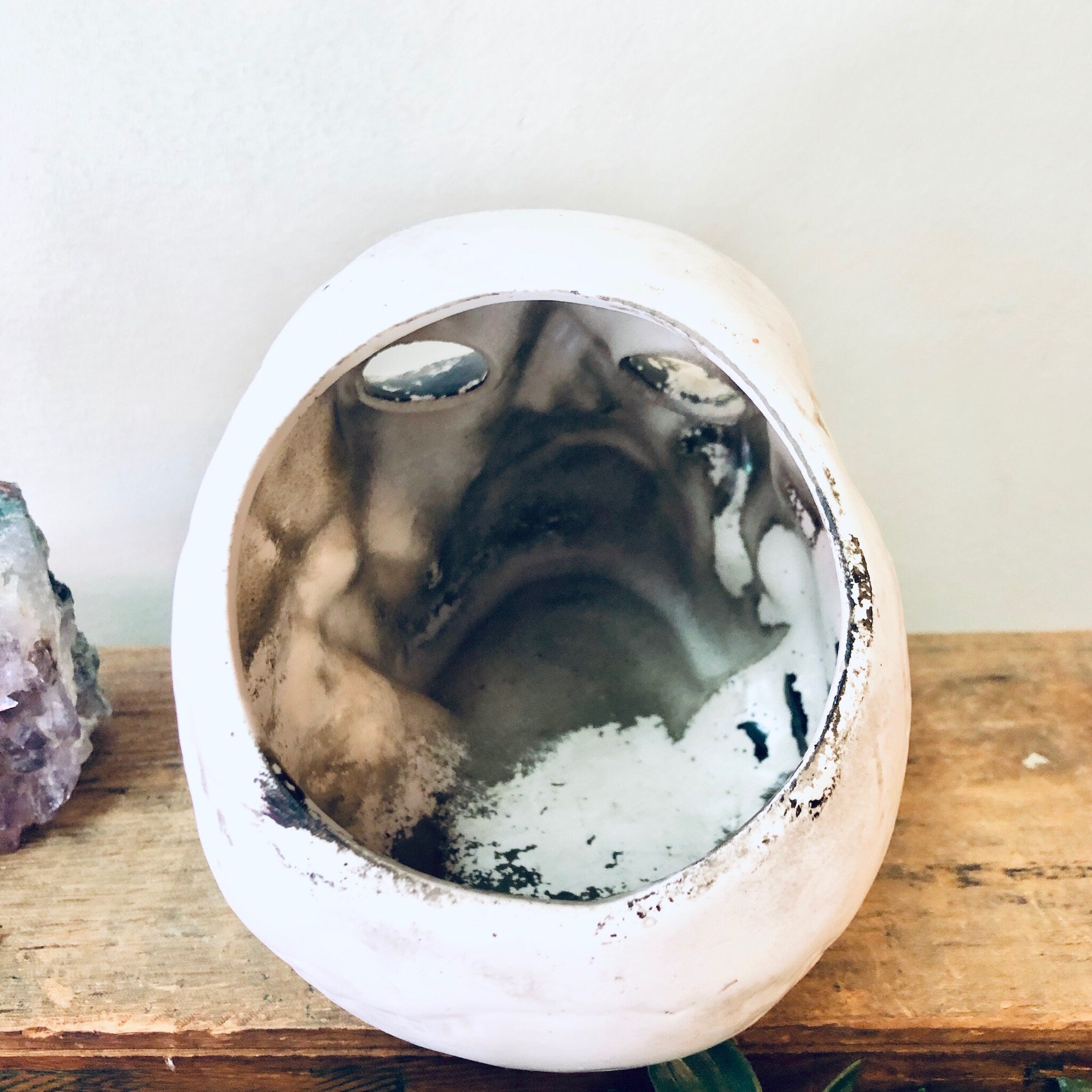 White ceramic skull planter with black and gray swirled interior, holding an air plant, on a wooden surface with crystal geodes nearby, unique vintage home decor piece with goth or Halloween style.