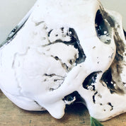Vintage white skull planter for air plants, unique goth-style Halloween home decor