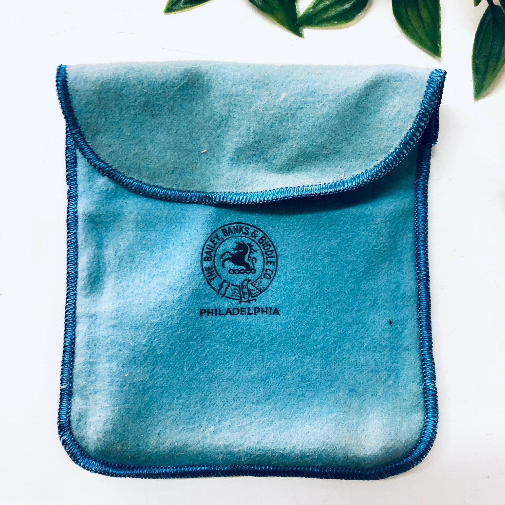 Vintage teal velvet cigarette case or business card holder with Mother of Pearl inlay from Bailey Banks and Biddle, Philadelphia, resting on white surface with green leaves in background.