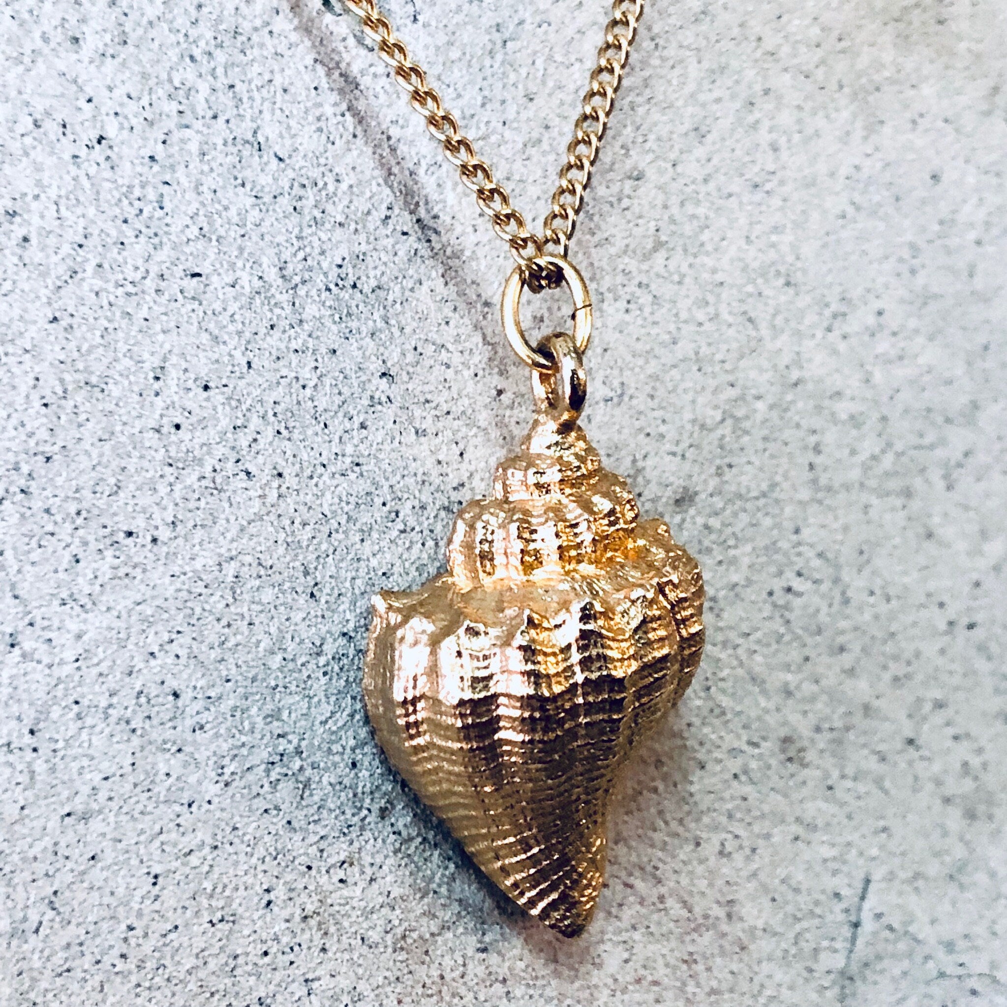 Vintage Necklace, Gold Toned Necklace, Conch Shell, Shell Necklace, Shell Pendant, Beach Lover, Vintage Jewelry, Thin Chain, Shell Pendant