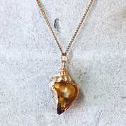 Vintage Necklace, Gold Toned Necklace, Conch Shell, Shell Necklace, Shell Pendant, Beach Lover, Vintage Jewelry, Thin Chain, Shell Pendant