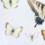 Vintage butterfly collection featuring various species artfully arranged and framed, creating a stunning display of natural beauty and entomological curiosity for unique home decor.
