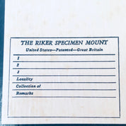 Vintage Framed Art, Entomology, Butterfly Display, Butterfly Collection, Moth Collection, Unique Decor, Vintage Home Decor, Wall Art, Fly