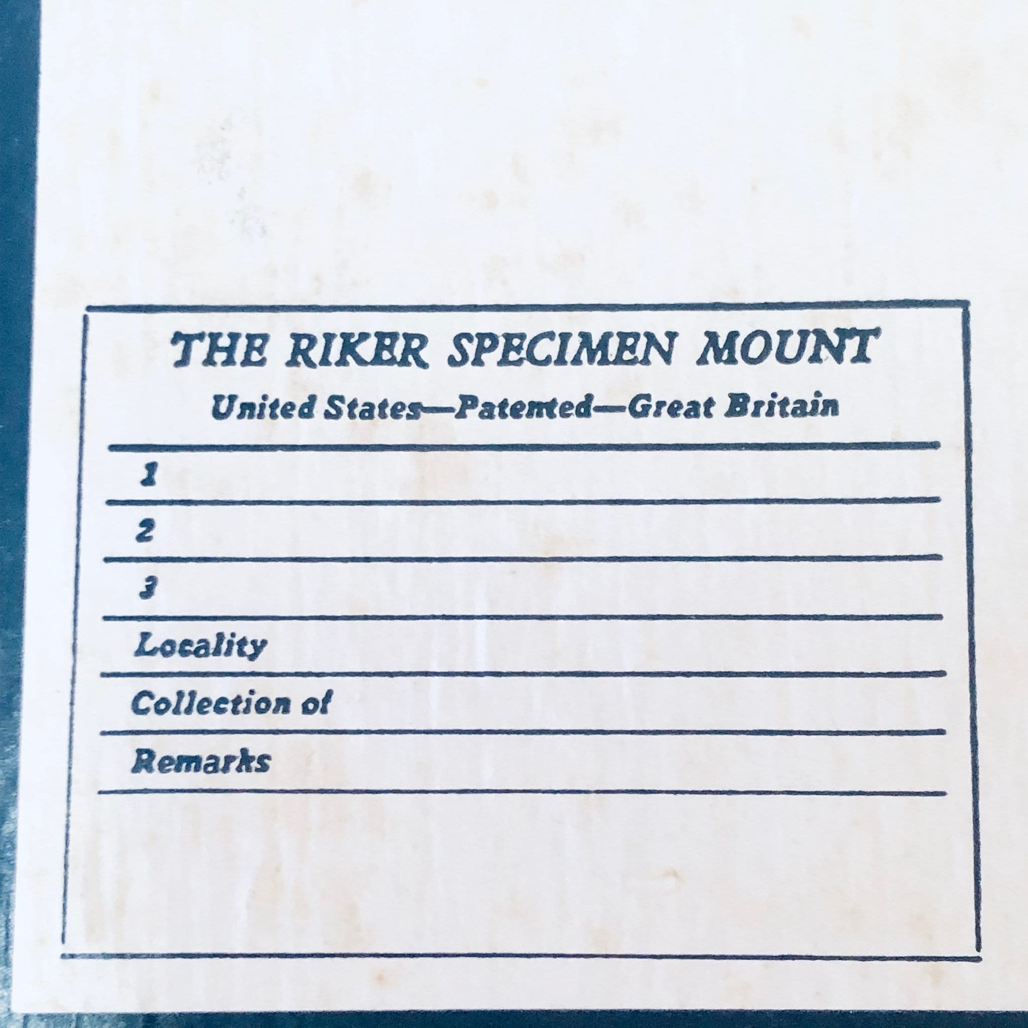 Vintage Framed Art, Entomology, Butterfly Display, Butterfly Collection, Moth Collection, Unique Decor, Vintage Home Decor, Wall Art, Fly