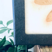 Vintage Framed Art, Entomology, Butterfly Display, Butterfly Collection, Moth Collection, Unique Decor, Vintage Home Decor, Wall Art, Fly