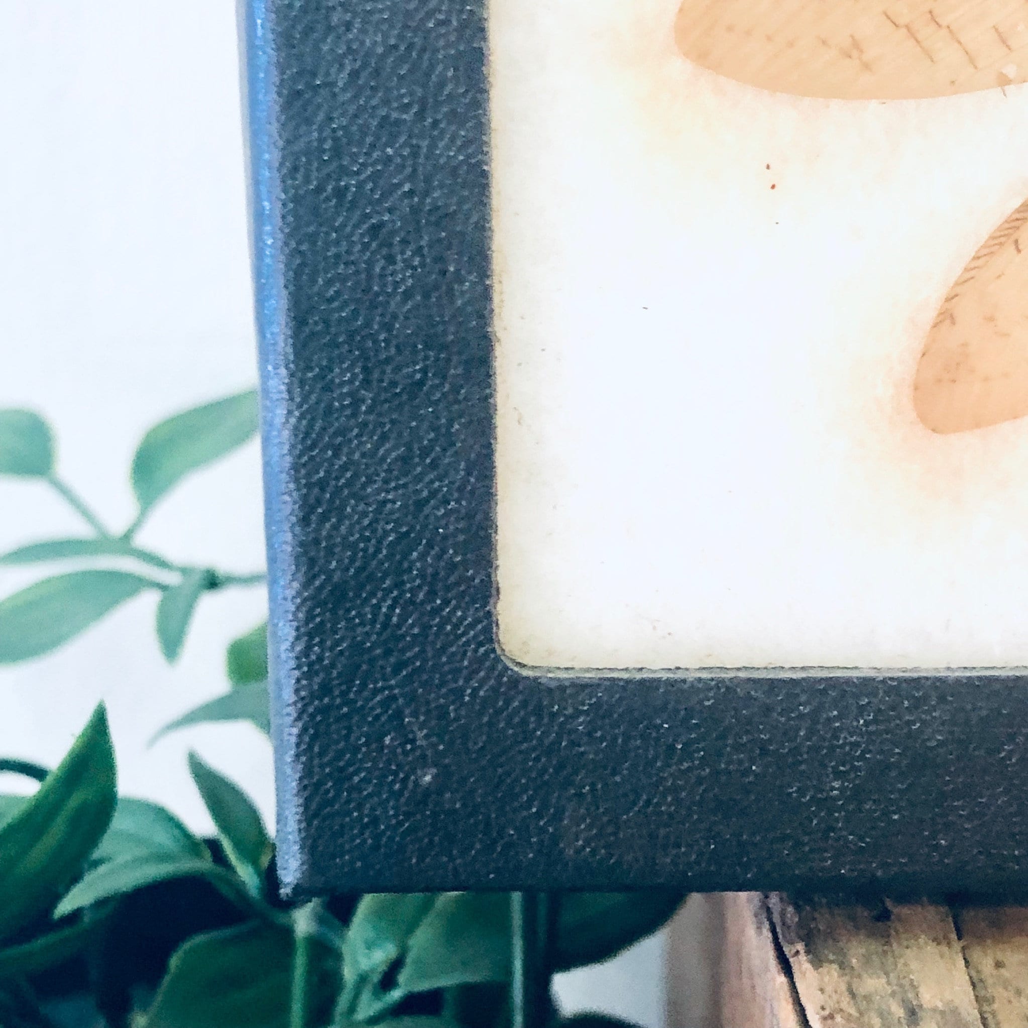 Vintage Framed Art, Entomology, Butterfly Display, Butterfly Collection, Moth Collection, Unique Decor, Vintage Home Decor, Wall Art, Fly