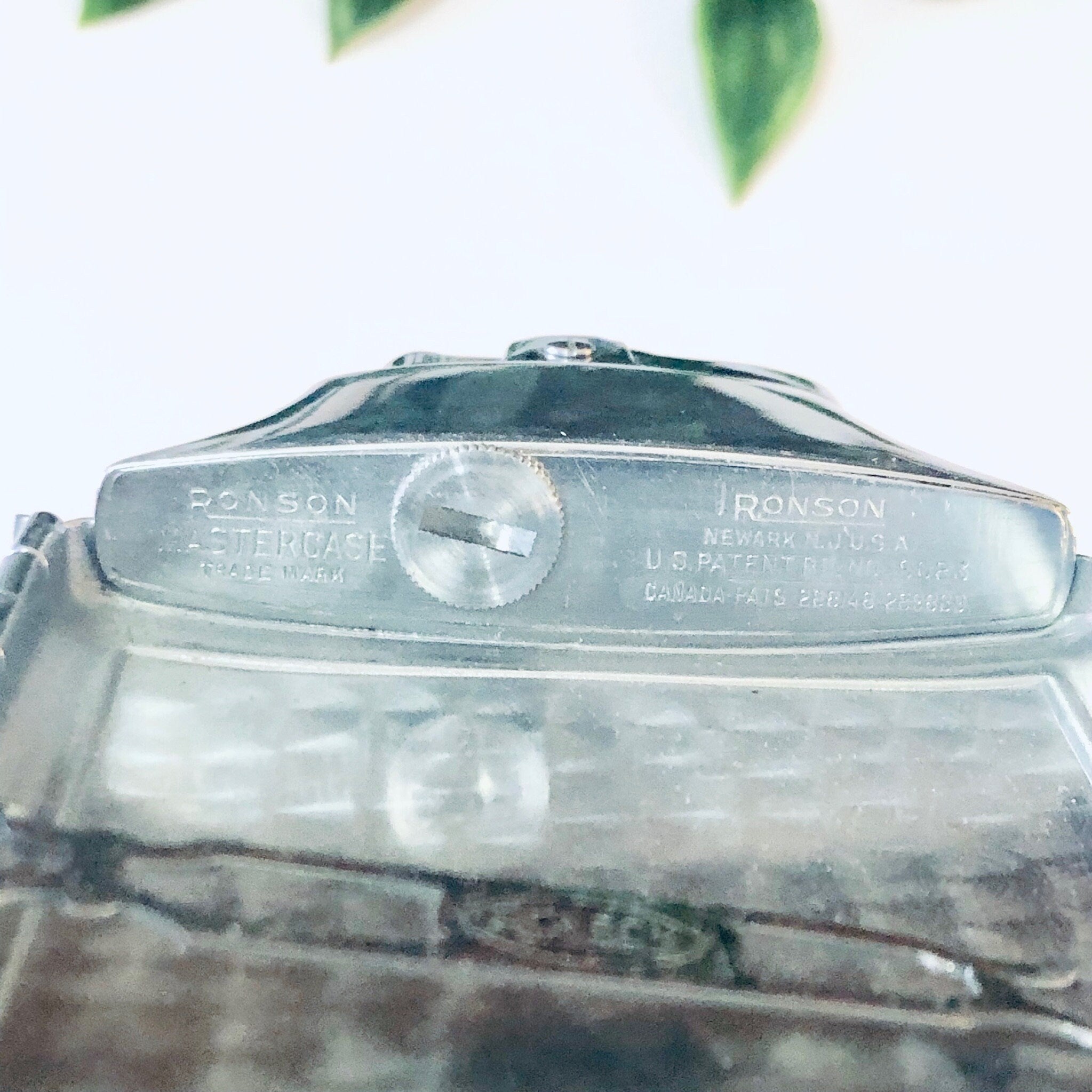 Vintage silver Ronson Mastercase cigarette holder and lighter with engraved top, seen against blurred green plant background