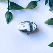 Small silver pill box decorated with blue and green abalone shell, surrounded by green leaves on a white background.
