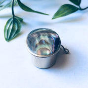 Small silver pill box with abalone inlay, featuring blue and green iridescent shell accents, next to green foliage on a white background.