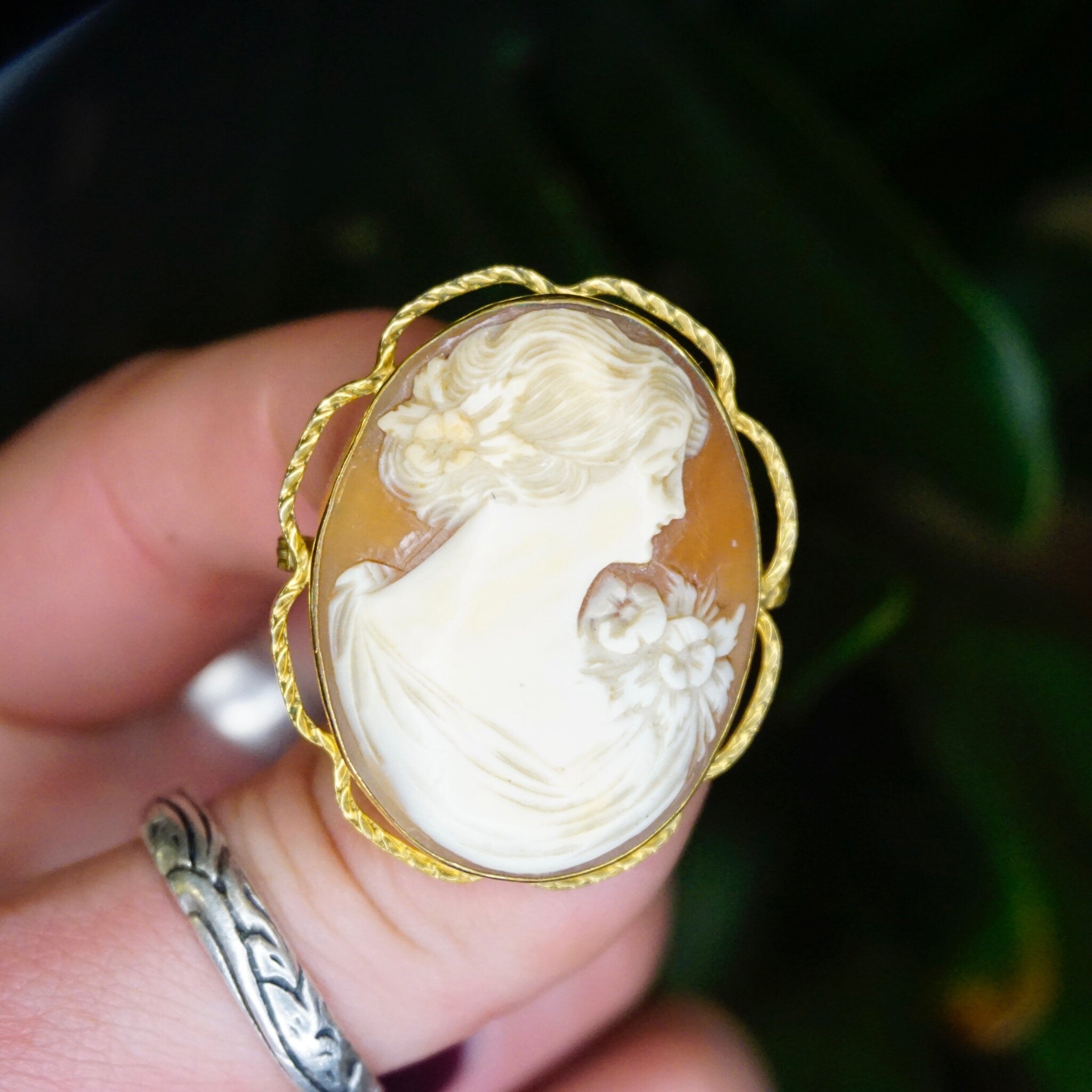 20 10K AMCO Shell Cameo Brooch