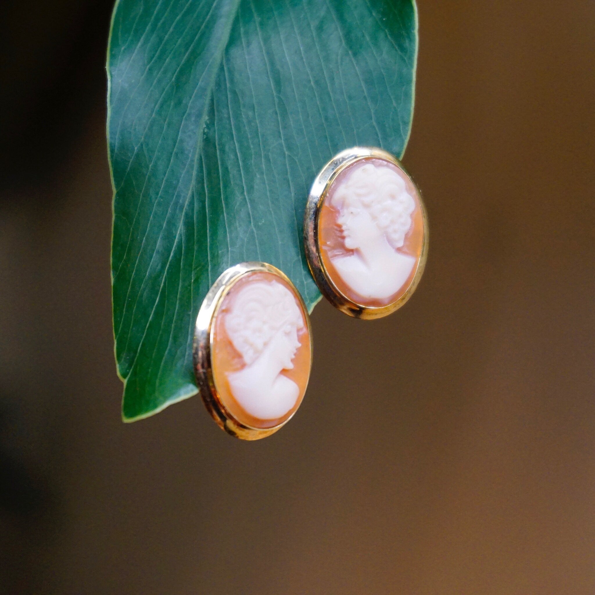 Vintage 14K Gold Cameo Post Earrings, Beautiful Cameo Earrings With Gold Setting, Italian 14K Gold Carved Shell Earrings, Cameo Earrings
