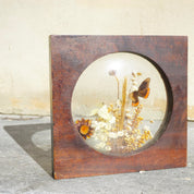 The Brazilian Collection By Dunston Butterfly & Flower Frame, Vintage Wooden Butterfly Frame, Preserved Flowers And Butterfly Art