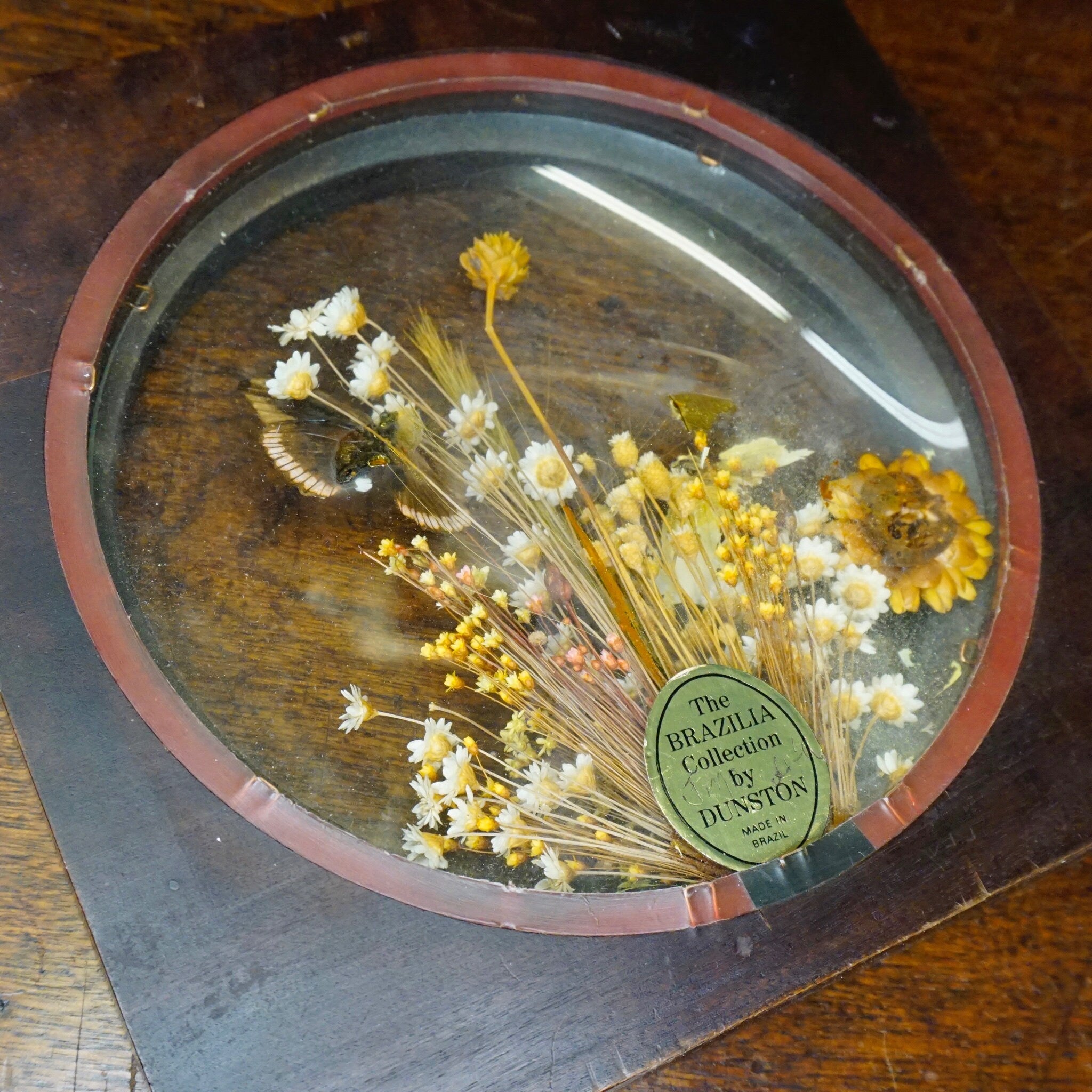 The Brazilian Collection By Dunston Butterfly & Flower Frame, Vintage Wooden Butterfly Frame, Preserved Flowers And Butterfly Art