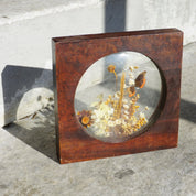 The Brazilian Collection By Dunston Butterfly & Flower Frame, Vintage Wooden Butterfly Frame, Preserved Flowers And Butterfly Art
