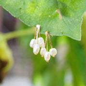 Vintage 14K Gold Baroque Pearl Seed Tassel Earring, Yellow Gold Dangle Post, Iridescent White Pearls, Petite 14K Pearl Earrings