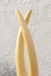 Vintage Pair Of Standing Faux Tusks, Brass Banding & Base, Made By Champam 1976, Unique Home Decor, Set of Decorative White Horns, 23" Tall