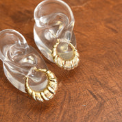 14K Scallop Hoop Earrings, Yellow Gold Round Puff Hoops, Wreath/Ribbon Motif, Estate Jewelry, 1 1/4"