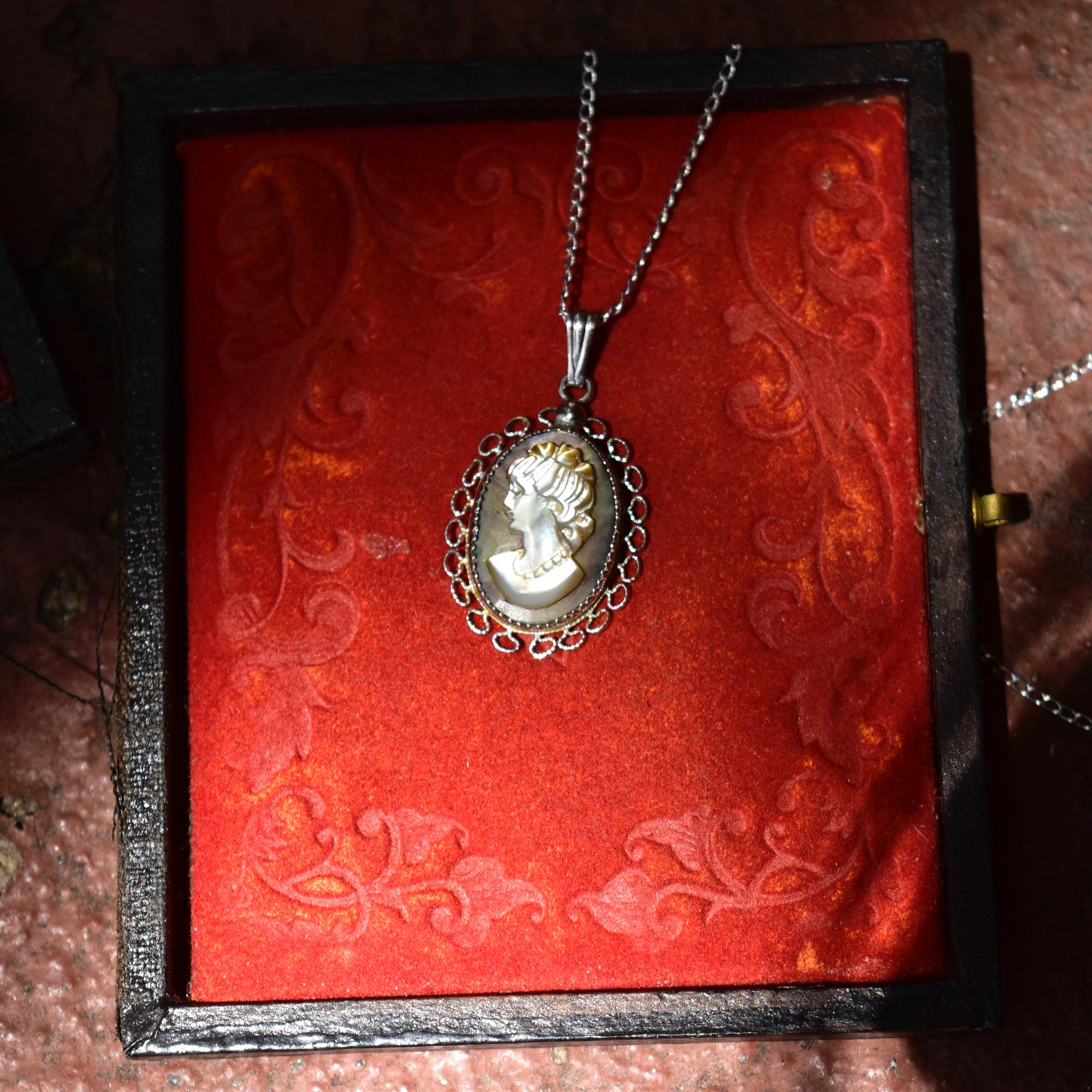 Vintage Sterling Silver Abalone Cameo Pendant Necklace, Classic Relief Shell Carving, Filigree Setting, 1 mm Cable Chain, 15" L
