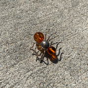 Vintage Sterling Silver Amber Insect Pin, Small Ant/Spider/Bug Brooch, Polished Amber Beads, Cute Jacket Pin, 925 Accessories, 28mm