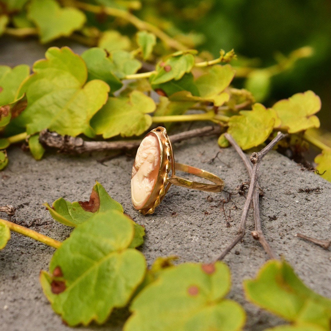 Vintage 10K yellow gold cameo ring with classic relief shell carving in an elongated oval shape, size 10 US, displayed on natural background with green leaves.