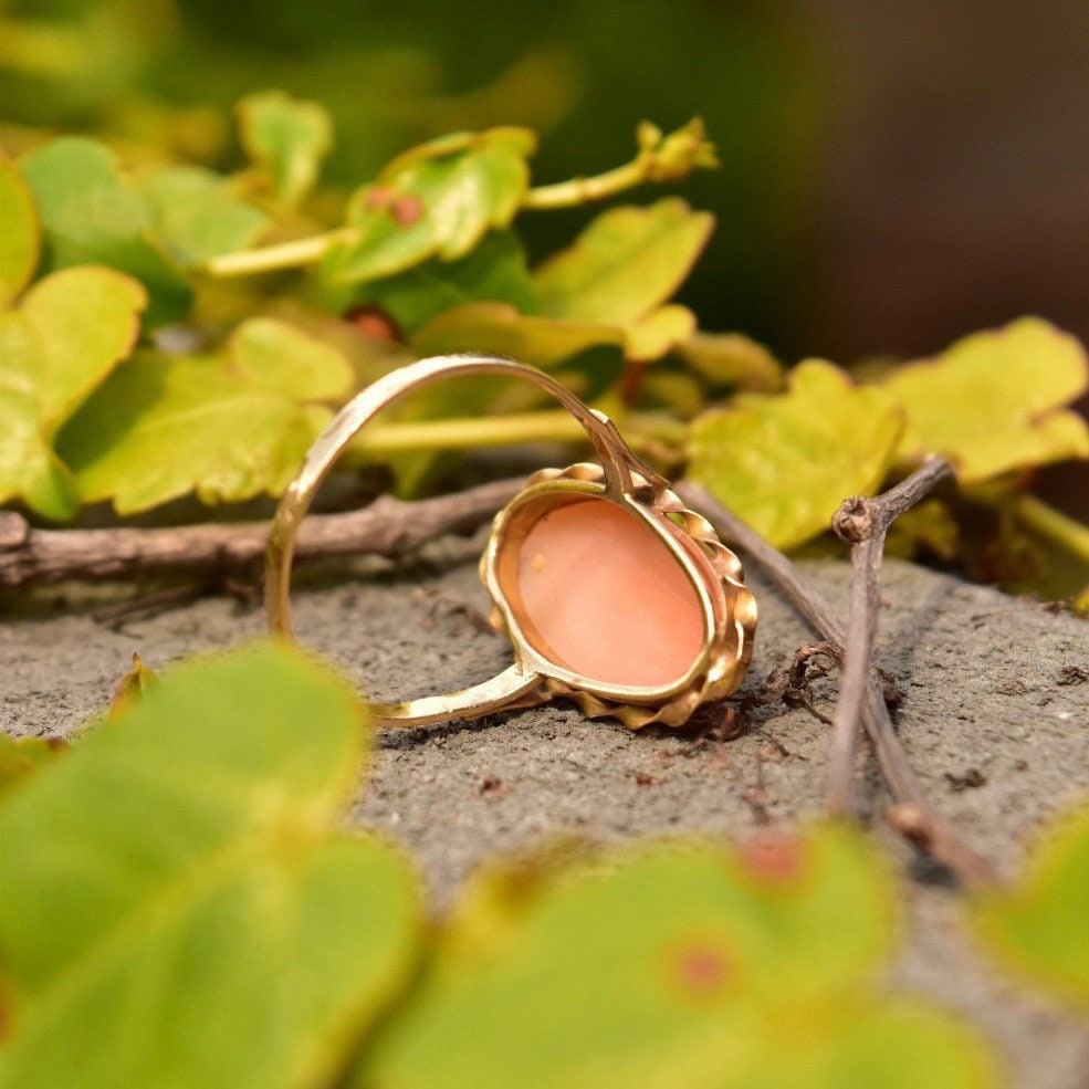 Vintage 10K yellow gold cameo ring with classic relief shell carving in an elongated oval shape, set in a ribbon-style band, size 10 US, displayed on a natural twig with greenery in the background.