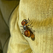Vintage Sterling Silver Amber Insect Pin, Small Ant/Spider/Bug Brooch, Polished Amber Beads, Cute Jacket Pin, 925 Accessories, 28mm