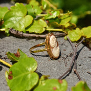 Vintage 10K gold cameo ring with classic relief shell carving on an elongated oval setting, surrounded by yellow gold ribbon, size 10 US, displayed on natural stone with green foliage background.