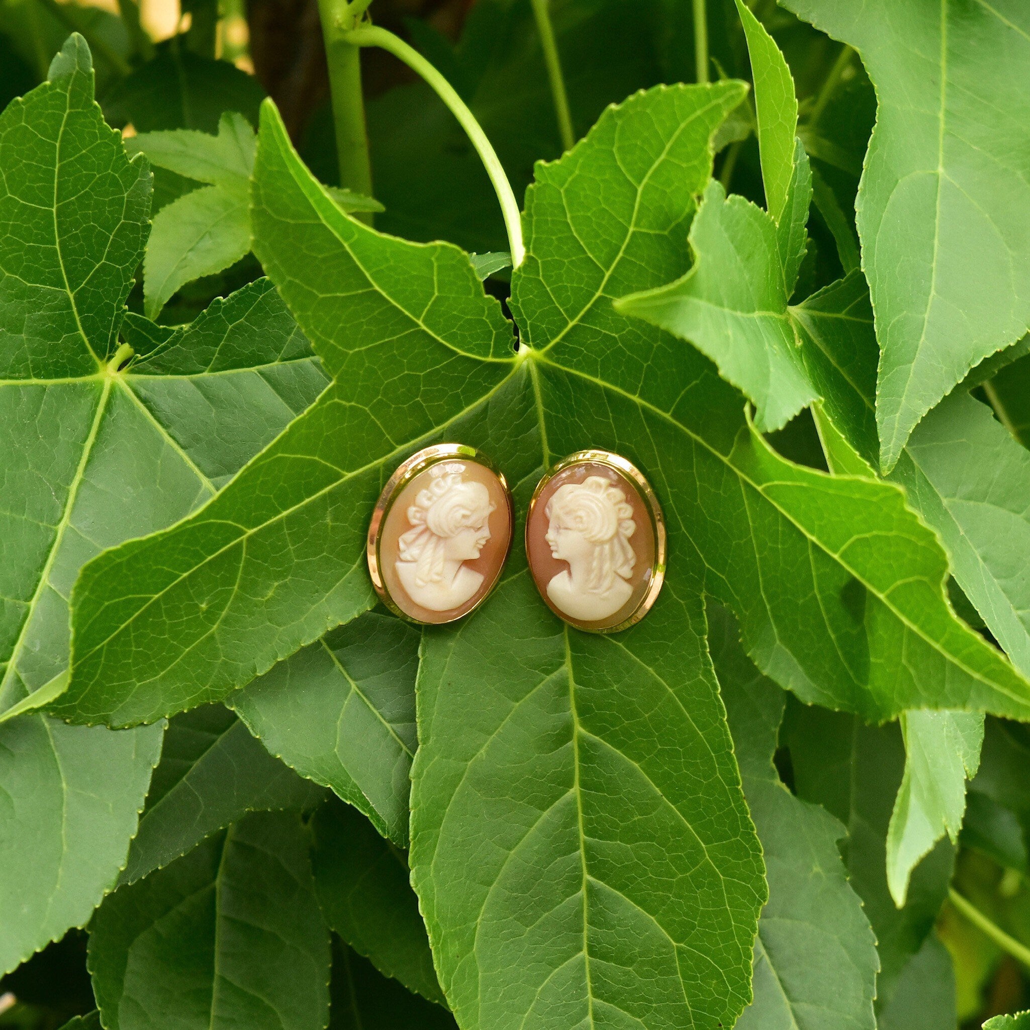 Vintage 18K Gold Cameo Post Earrings, Classic Relief Shell Carvings, Lady's Cameo Stud Earrings, Yellow Gold Settings, 22.5mm