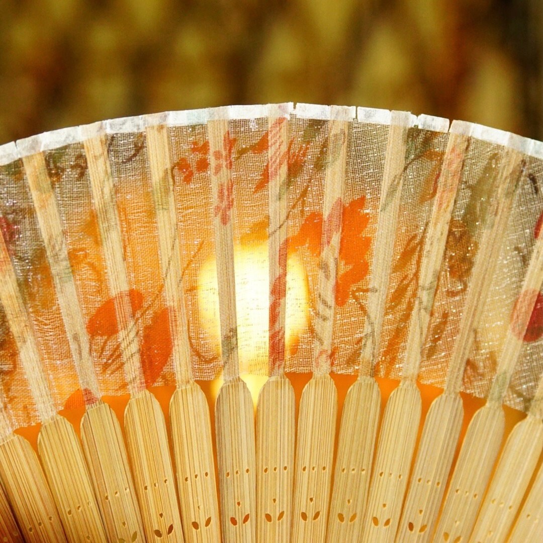 Antique Chinese Hand Made Silkscreen Fan & Decorative Wooden Case, Translucent Silk Leaves With Floral Pattern, Hand Painted Bird Box Design