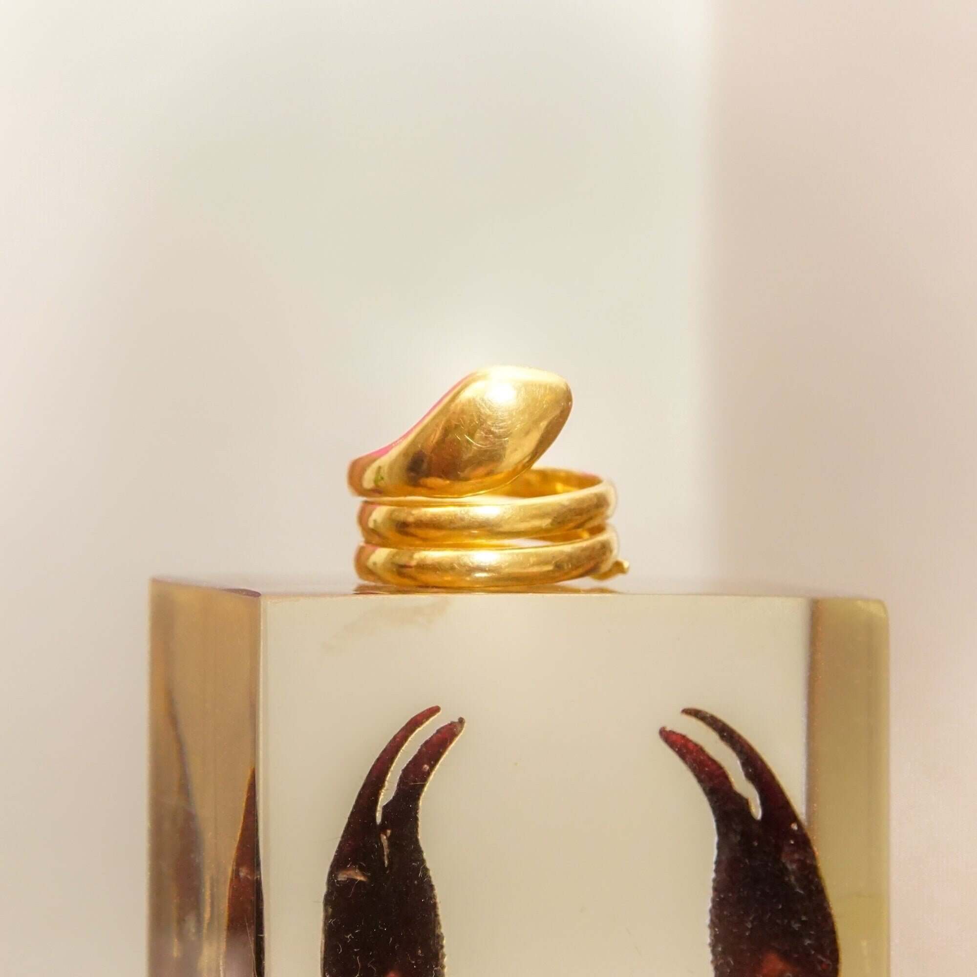 Coiled Snake Ring In 18K Yellow Gold, Minimalist Snake Wrap Ring, Adjustable, Estate Jewelry, 4 US - Good's Vintage