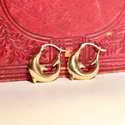 14K yellow gold dolphin hoop earrings on red textured background